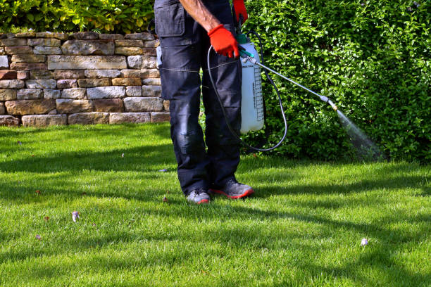 Best Real Estate Pest Inspections  in Tigard, OR